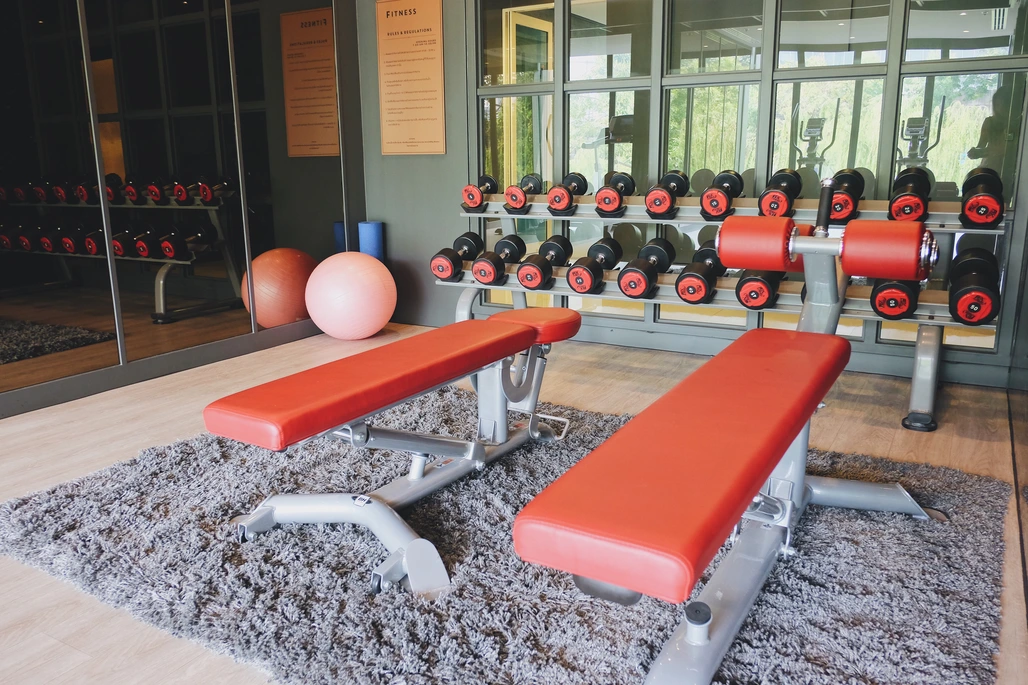 Photograph of a living room in a log cabin Gym Reupholstery